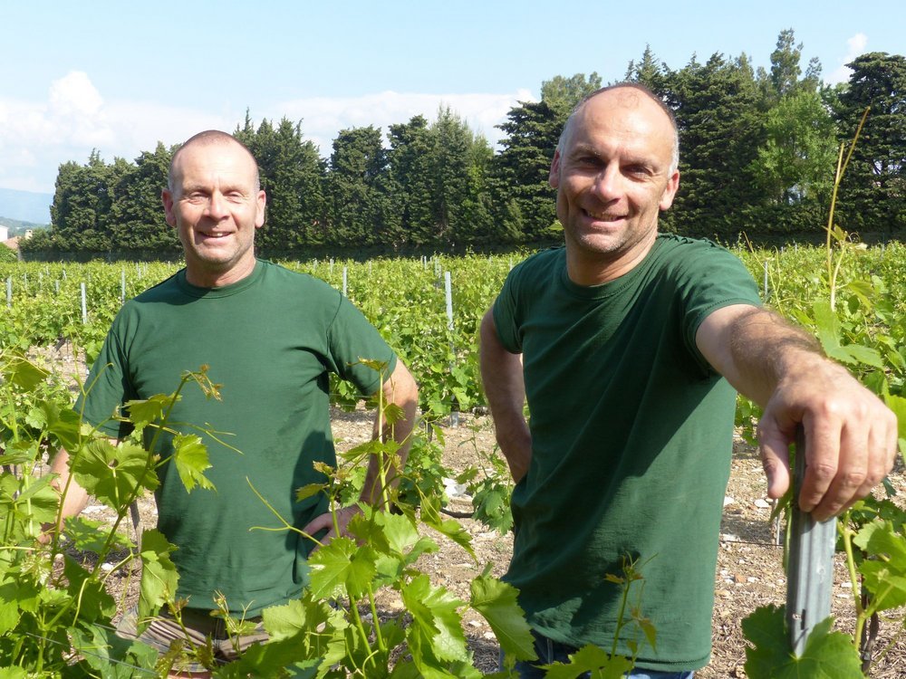 Guide Hachette 2019 - Vignerons de l'année (Rhône)